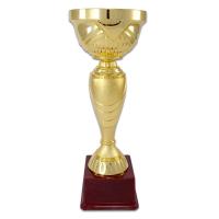 Ödül Kupası Altın4